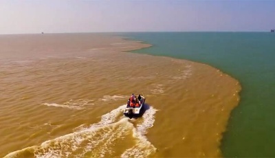 星辰大海｜“鸟类国际机场”万鸟翔集 生态东营你爱了吗？