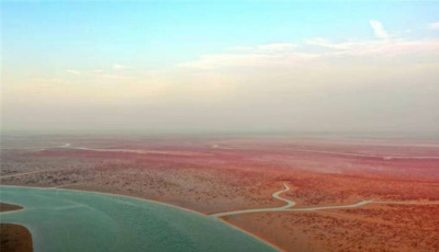 星辰大海｜荒凉近海铺就壮观红地毯 渤海综合治理攻坚战晕出莱州湾畔一抹红