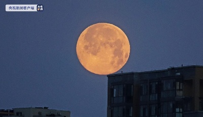 罕见！虎年元宵节，“十五的月亮十七圆”