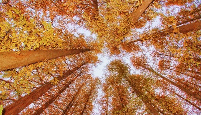教育部：“职教高考”将成为高职招生主渠道