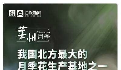 好品山东丨百花齐放富贵来！图观齐鲁“花样”特色产业