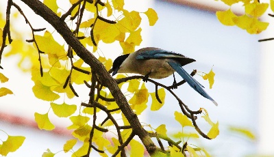 首个校外培训监管行政执法专门文件出台，教育部八问八答