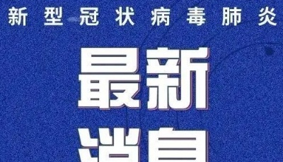 2022年7月12日0時至24時青島市新型冠狀病毒肺炎疫情情況