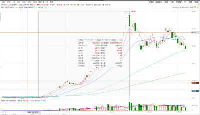 马赛克理论的实证：基于公开信息投资九安医疗的机会