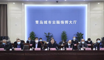 青岛市召开会议对全市安全生产工作进行安排部署