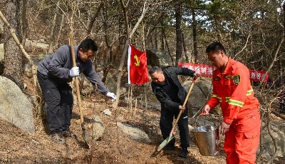 種下一抹綠，守候一片林 嶗山風(fēng)景區(qū)舉辦植樹節(jié)主題活動