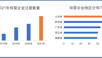 市場規(guī)模持續(xù)增長，我國895萬家母嬰企業(yè)中山東數(shù)量最多