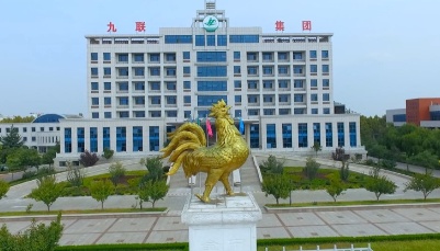 青岛九联入选“好品山东”  禽肉产品出口量稳居全国同行首位