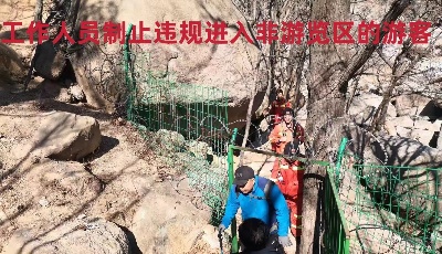 頂風(fēng)作案！嚴(yán)肅處理！多人違規(guī)在青島自然保護(hù)區(qū)內(nèi)制造火災(zāi)隱患