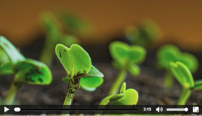 循环播放中！快来感受藏在24节气里的山东之美