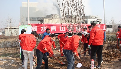 “植”此青绿向未来！青岛水务固废公司开展植树活动 建设美丽岛城