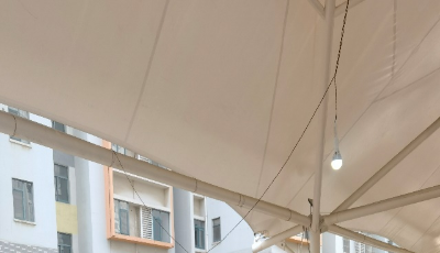 战“疫”一线的财政红马甲