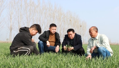 抗疫情 抓发展丨防疫发展两不误——山东统筹疫情防控和经济社会发展见闻