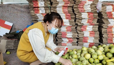 青岛莱西为民解难题 助农好收成