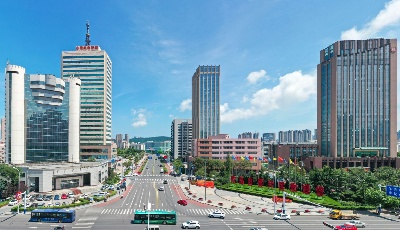 青岛自贸片区：优化营商环境按下“快进键”