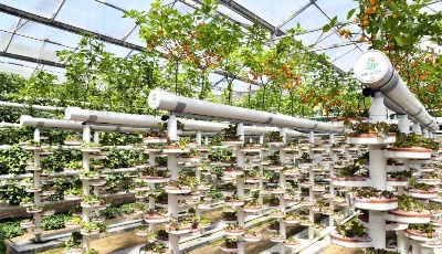 山东一季度经济运行好于预期