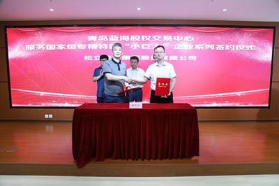 青岛蓝海股权交易中心：砥砺八载奏响区域股交强音 情系小微绘就创新发展画卷