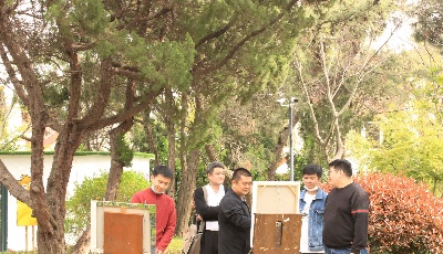 “名樓花海掩重關”青島市市南區藝術家采風活動在太平角啟動