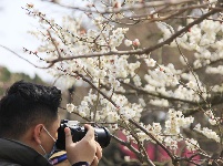 人間四月芳菲盡  踏青賞花正當(dāng)時(shí)