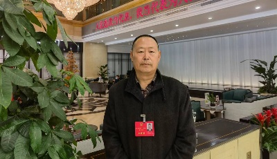 兩會(huì)對(duì)話|王復(fù)陽(yáng)：加大平度南村鎮(zhèn)國(guó)土空間規(guī)模