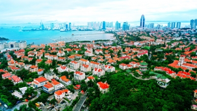 为何人们愿意留在市南？