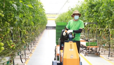 青岛莱西农民就业不离家致富不出村