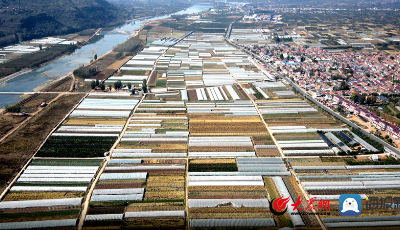 好品山东丨诸夏村不简单，他们把菜卖到了北京上海