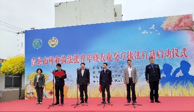重拳出击！青岛市启动交互执法行动 护航种业振兴发展