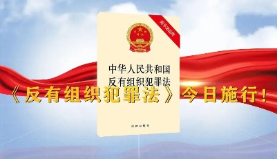 《反有组织犯罪法》今日施行！