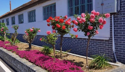 莱西市积极探索“物管农村”路径  加大美丽乡村建设