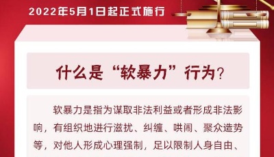 有组织犯罪、恶势力组织……带你快速了解《反有组织犯罪法》