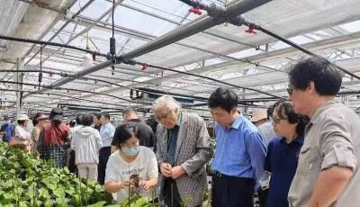 青烟两地美术家以“美”助推“乡村振兴”