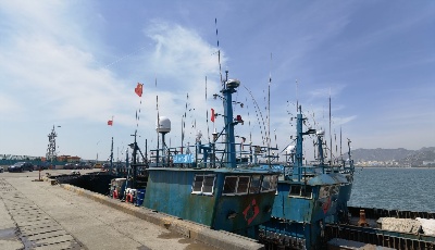 5月1日起東海全面進(jìn)入伏季休漁期 青島多部門聯(lián)合開(kāi)展伏季休漁執(zhí)法行動(dòng)