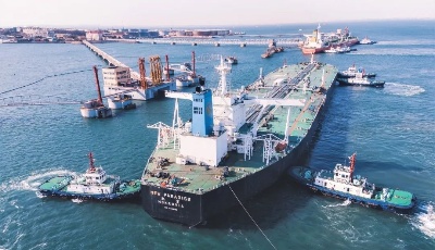 大船频靠、纪录叠出，山东港口青岛港奏响五一“劳动赞歌”