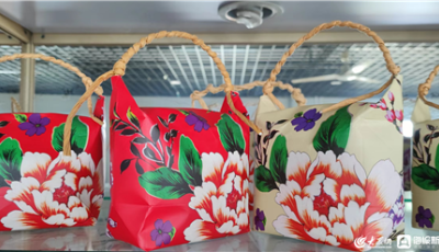 好品山东丨万里黄河成就一粒好米