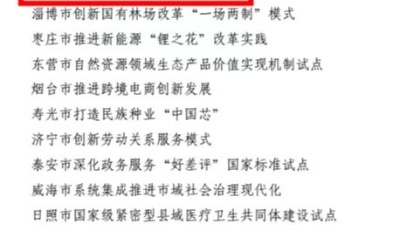 喜报！民营经济发展“青岛样板”入选“山东省改革试点成果”名单