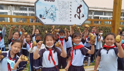 勞動(dòng)教育 讓生命更有溫度 ——中韓小學(xué)開展“挖土豆”勞動(dòng)實(shí)踐教育活動(dòng)