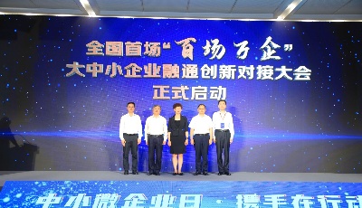 走专精特新发展之路 加快大中小企业融通创新对接