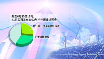 多家上市公司半年报预喜 三大行业景气度高涨