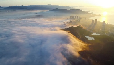 创投风投看青岛