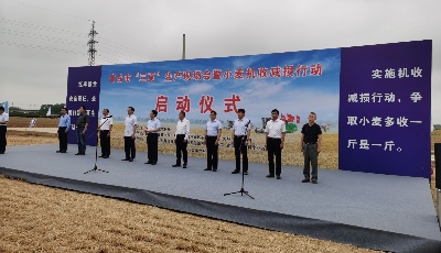 “三夏”已至 小麦“开镰”！青岛已收割48.2万亩，机收率超99.5%