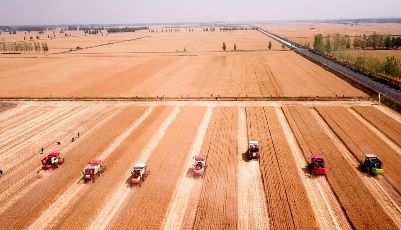 关注三夏|绘就夏粮丰收图景——我国第二大小麦主产省山东夏收观察