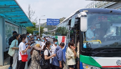 端午假期青岛温馨巴士累计运送乘客近70万人次