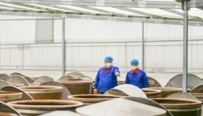 好品山东丨德州环球酿造：秉持古法 用匠心守护“酱心”