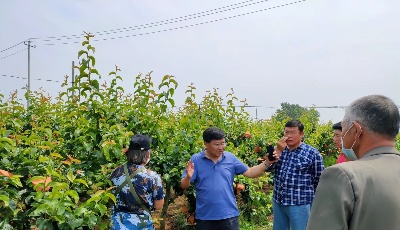 青岛莱西库区移民“抢”教授 