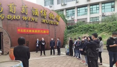 转作风强能力 市北文旅抓落实促发展