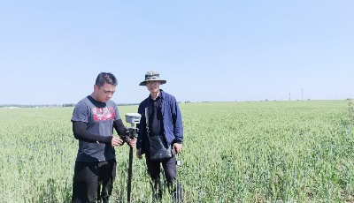 莱西市发挥国企担当 推动土地流转高质量可持续发展