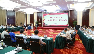 晒出156项“争创树”成果 乡村振兴“青岛打法”基本确立 