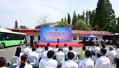 青岛市“青年友好主题公交专线”正式启用