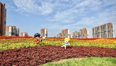 微更新再“上新”！青岛城阳街道宁城路运动公园计划8月份亮相